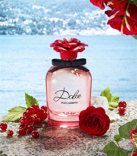 dolce rosa dolce gabbana|dolce gabbana rose perfume.